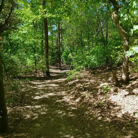 Hartje Veluwe Διαμέρισμα Otterlo