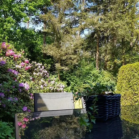 Διαμέρισμα Hartje Veluwe