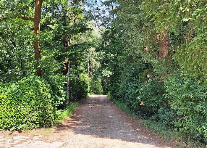 Апартаменты Hartje Veluwe *