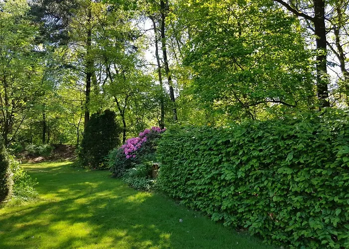 Hartje Veluwe * Оттерло