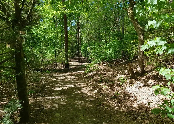 Hartje Veluwe Lägenhet Otterlo