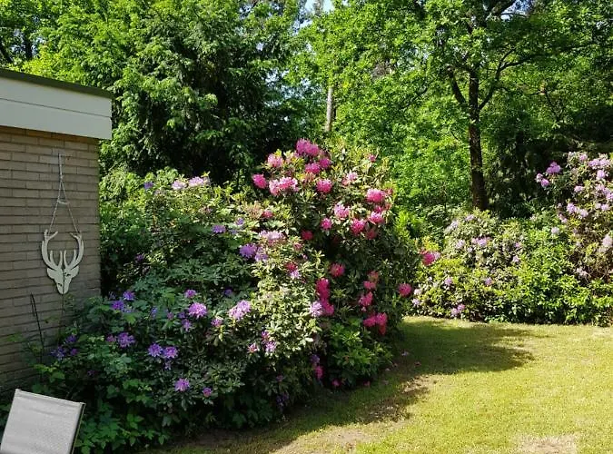 Апартаменты Hartje Veluwe Оттерло