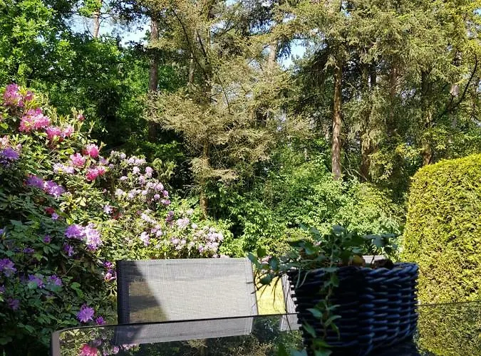 Апартаменты Hartje Veluwe