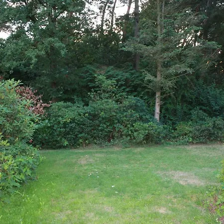 Hartje Veluwe *