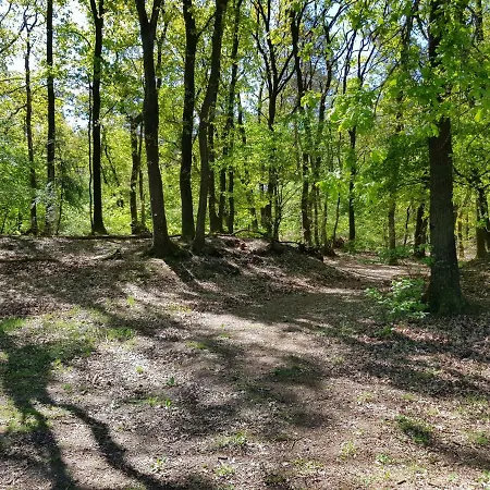 Hartje Veluwe *