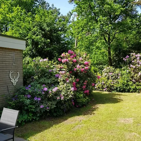 Apartment Hartje Veluwe Otterlo