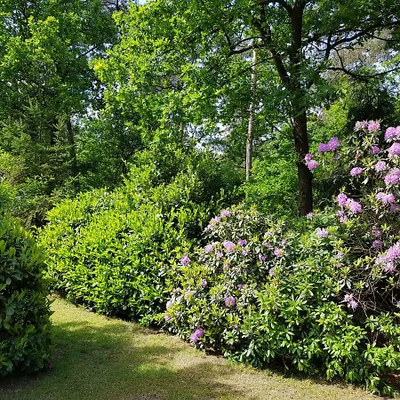 Hartje Veluwe Apartment
