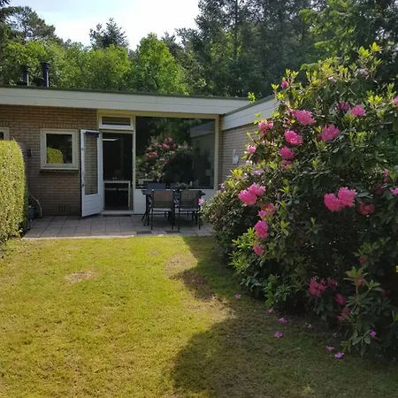 Hartje Veluwe *