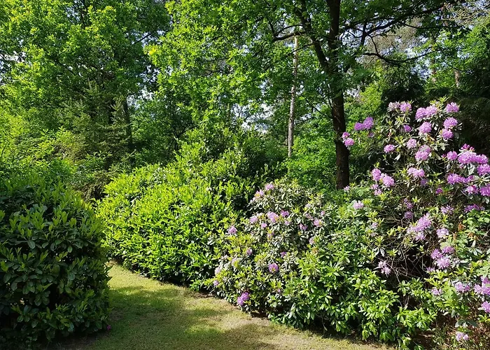 Hartje Veluwe Apartment